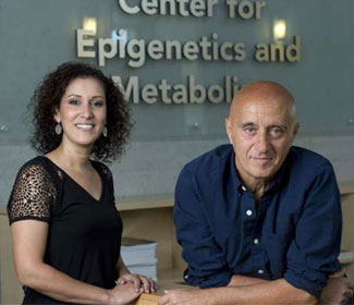 科學家首次發現肺部腫瘤可攔截肝臟代謝