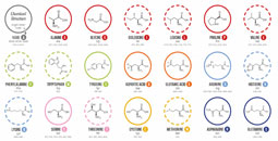 新推出氨基代謝物檢測服務